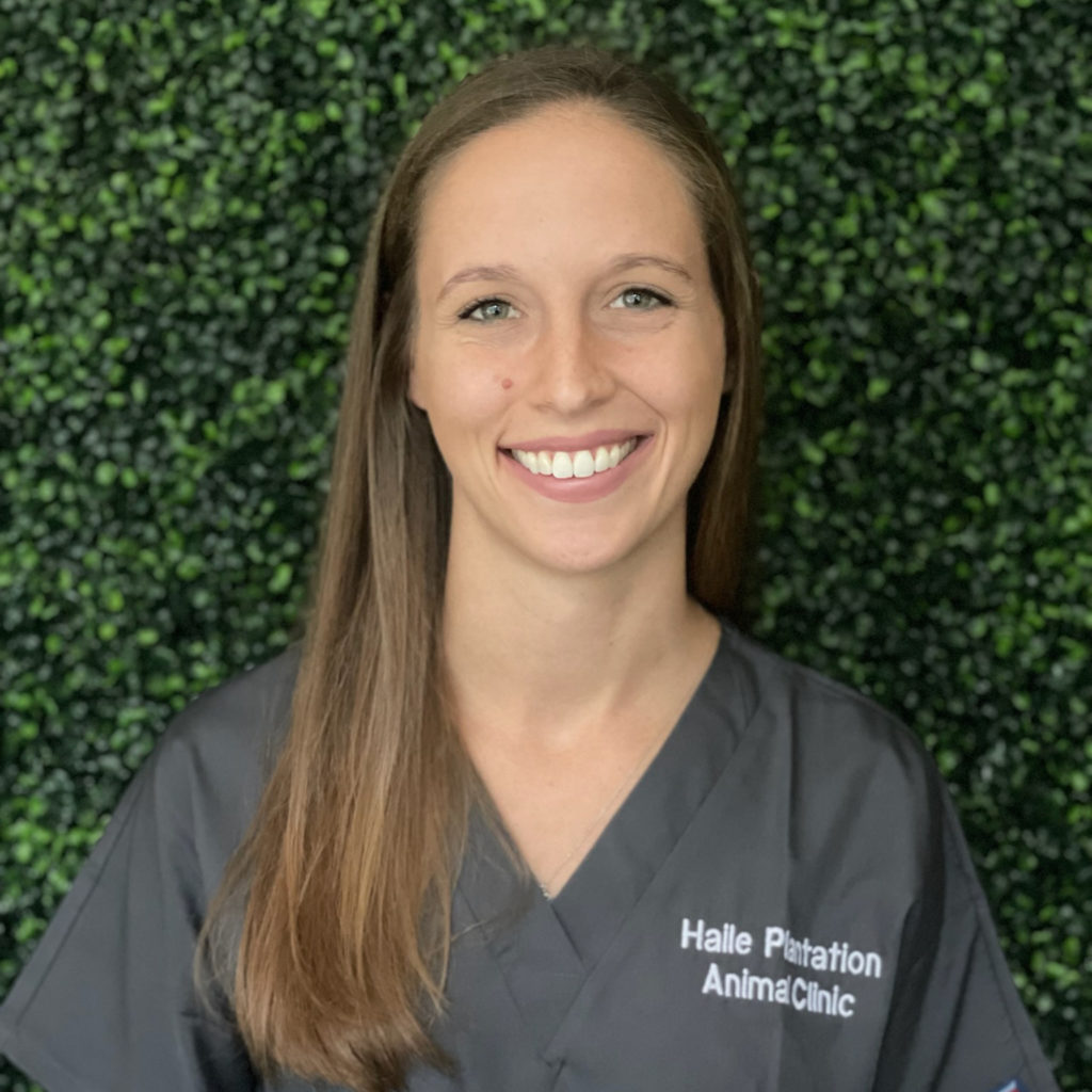 Dr. Courtney Adams | Haile Plantation Animal Clinic