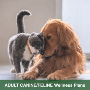 wellness plan dog cat v2 300x300 1