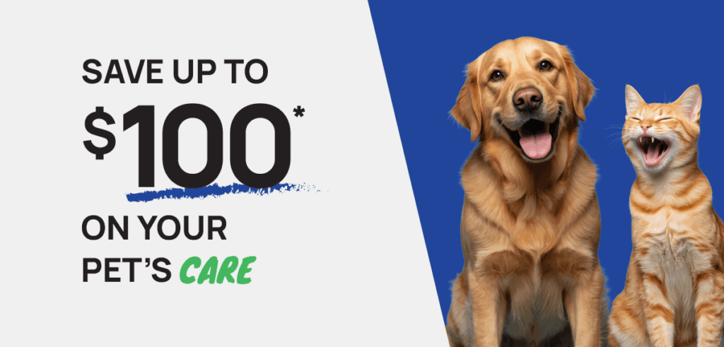 011326 Email Dental Campaign T3 100off Dog Cat HERO