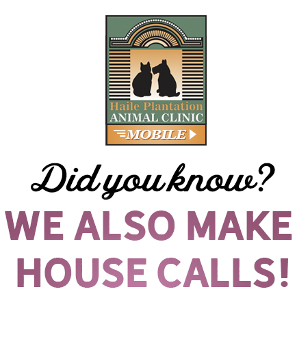 Did-you-know-we-also-make-house-calls